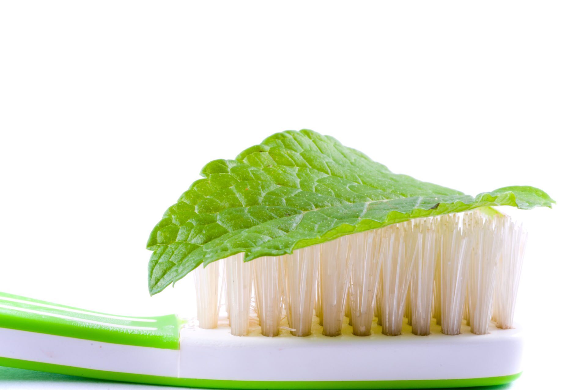 Натуральные компоненты зубной пасты Toothpaste_1